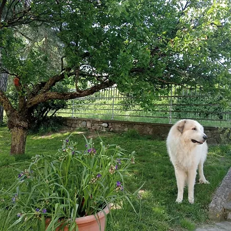 Ai Confini Appartement