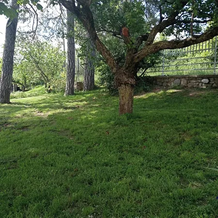 Ai Confini * Castelnuovo di Val di Cecina