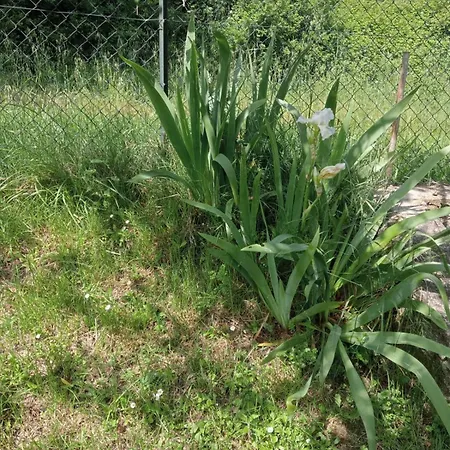 Appartement Ai Confini