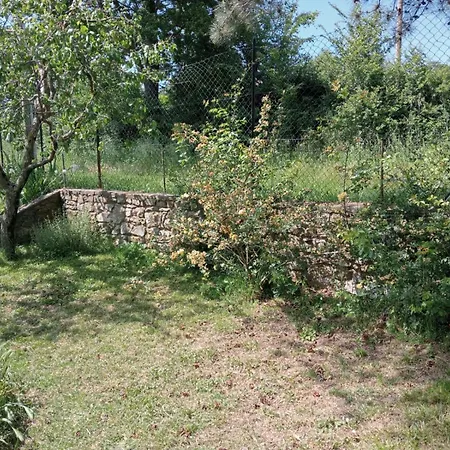 Daire Ai Confini